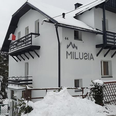 Milusia Muszyna Hotel Bagian luar foto